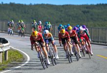 Norsk håp spurtslått i Arctic Race-åpningen Uno-X ledet an fremst i hovedfeltet under torsdagens åpningsetappe. Foto: Annika Byrde / NTB