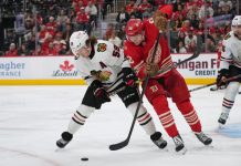 Chicago Blackhawks Tyler Bertuzzi og Detroit Red Wings Michael Brandsegg-Nygård i duell. Foto: AP Photo/Paul Sancya