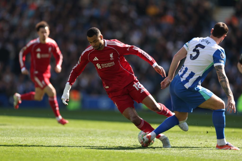 Liverpool – Brighton: Odds, analyse og tips 1 Liverpool – Brighton: Odds, analyse og tips gakpo